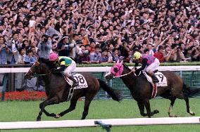 Jungle Pocket snatches victory in 68th Japan Derby